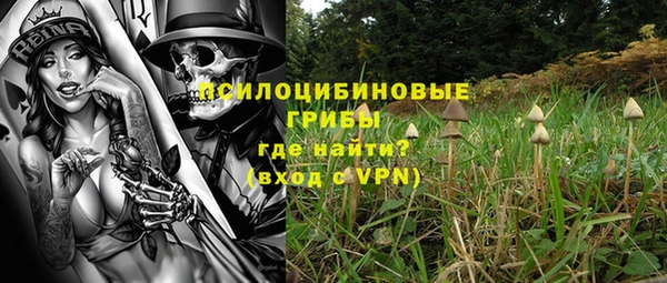 дурь Алзамай