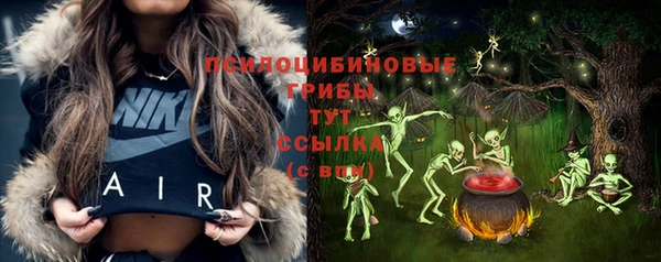 дурь Алзамай
