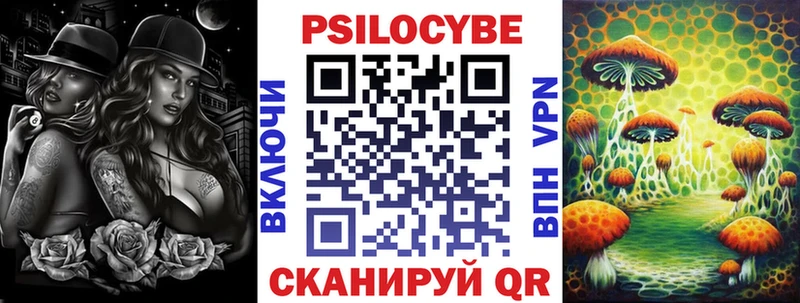 Галлюциногенные грибы Psilocybine cubensis закладки Трубчевск