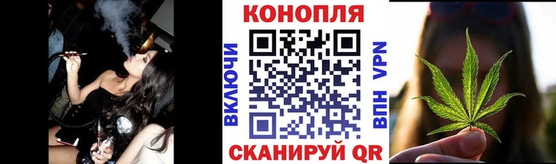 Бошки марихуана конопля Трубчевск